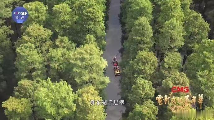 电影文化嘉年华来武汉赴一场电影文化之约 被武汉的烟火气狠狠打动，晨光伴着热干面，