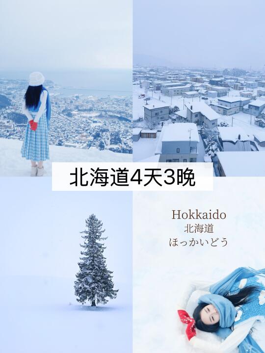 北海道机票0元白嫖攻略‼️附4天3晚路线