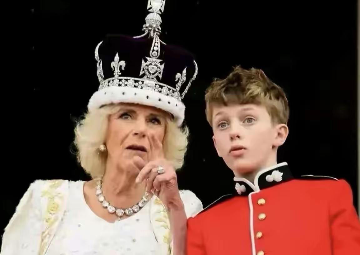 到底是自己的血脉，卡米拉的态度不要太明显了！
贵为王后的卡米拉，对威尔士三宝并不