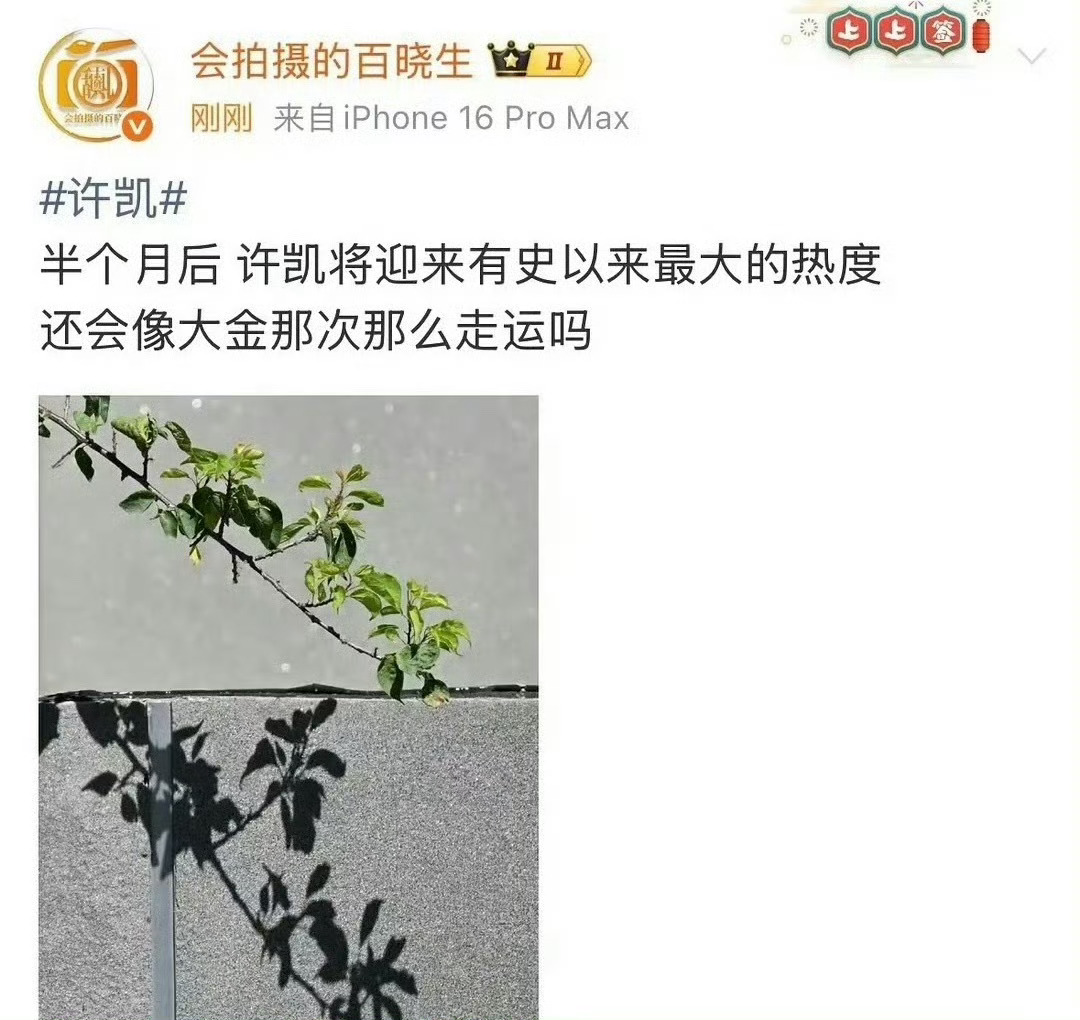 怎么狗仔也要等阅兵结束才锤许凯吗？ ​​​
