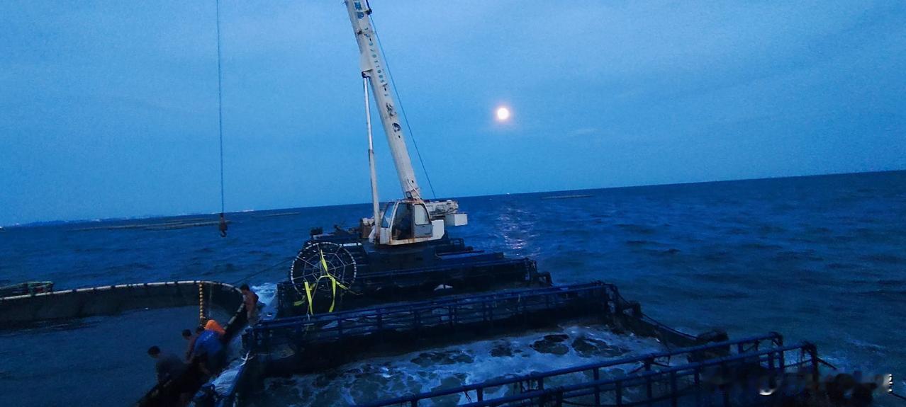 远赴北海冠头岭深海渔场捕鱼，顶着风浪深夜回到码头卸鱼，连夜活鲜运送，只为第二天清