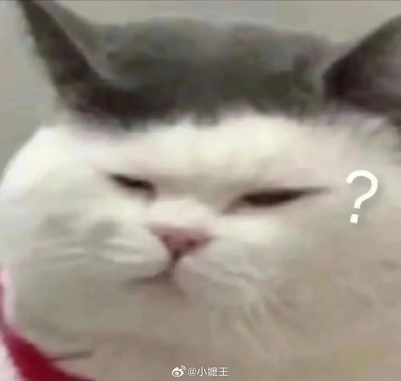 国际球星被中国科技震惊出表情包 热闹迎世界杯！罗比·福勒空降上海引发围观，暖心中
