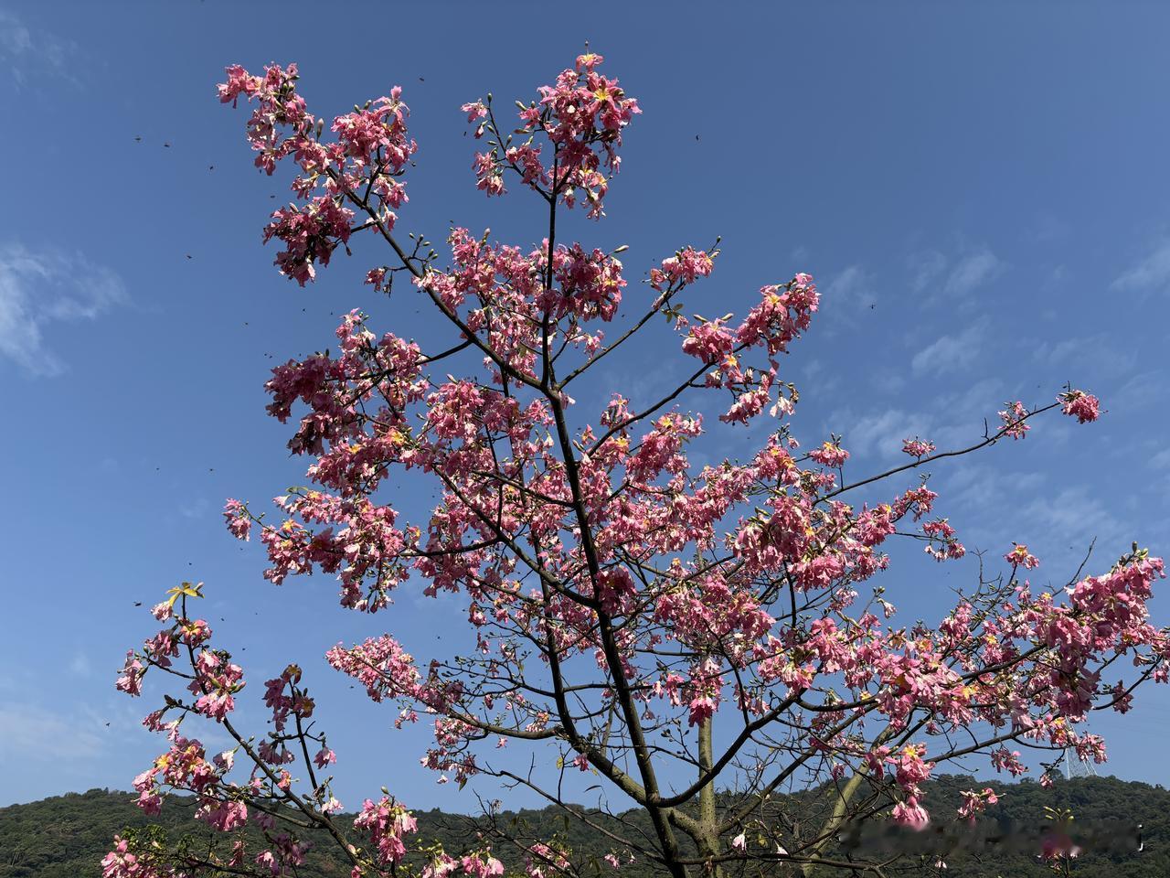 刷到了一个很扎心的热门视频：一个爸爸边啃馒头边说，我的儿子在楼上上200元一节的