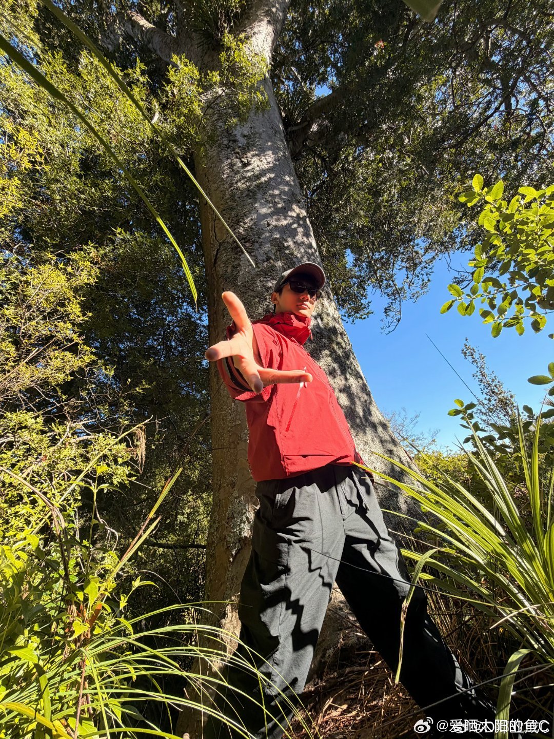 郑业成0826生日快乐zyc郑郑好的生活你是银河里与众不同的一颗星，泛着橙色的光