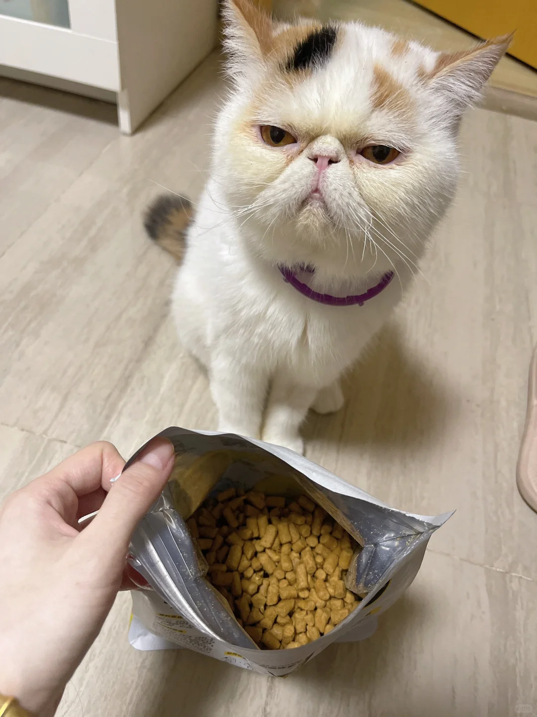 请问您喂我吃，还是我自己吃？