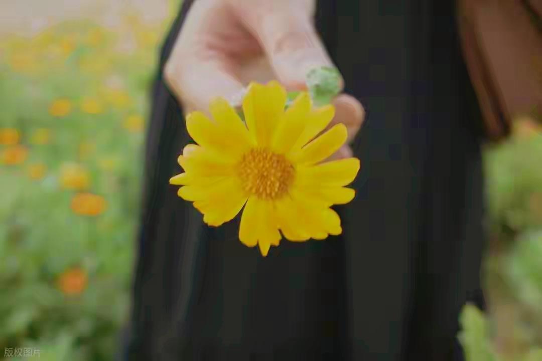 我问生活，你为什么如此艰难，生活笑了笑说道，人们不感恩容易的事情。
看到一段很温