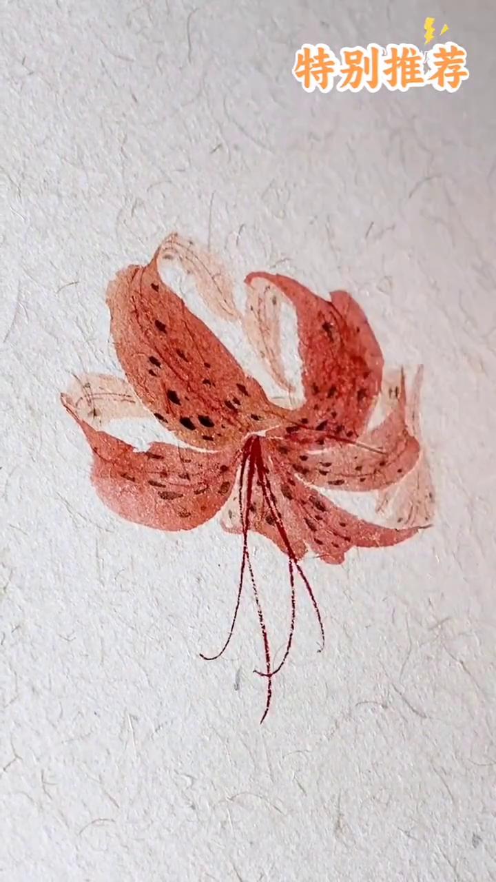 杜鹃花画法。
腾博视频号。
·藤黄加大红画正面花瓣，花瓣为上大下小，反面花瓣再加
