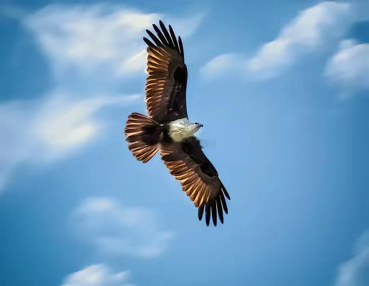 市场前瞻上周五行情虽然是个普涨行情，但是主要是月底的排名还有整体成交量稀少（不到