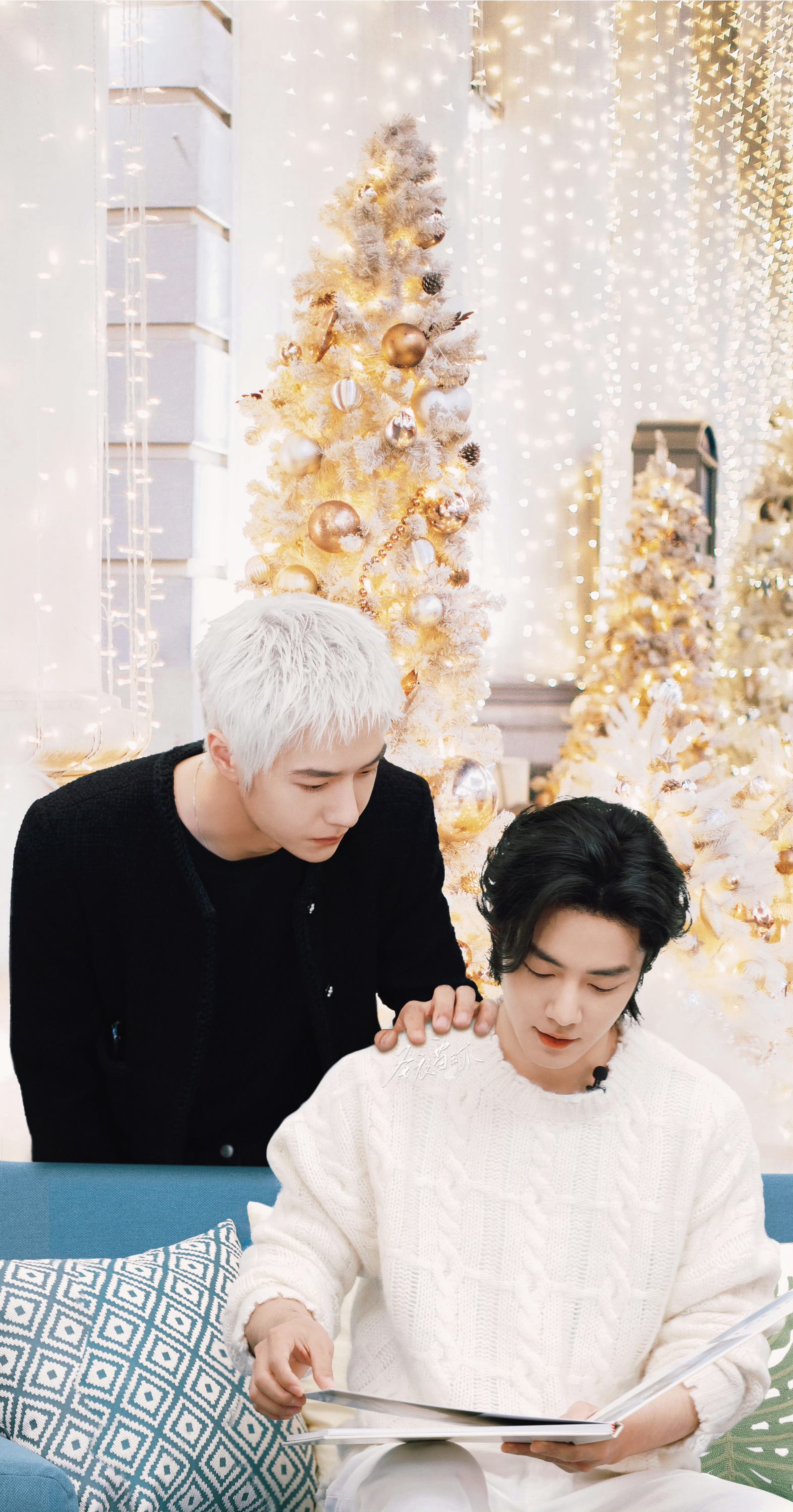 圣诞树 Merry Christmas🎄🎉🎊🎁 博君一肖  ㊗️玐玐们平