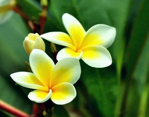 #真正喜欢一个人是什么样#如果你有幸遇到了一个磁场对的有缘人，彼此都有一种相见恨