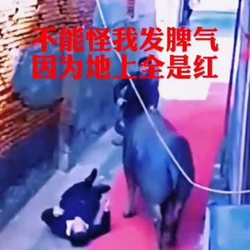 我发脾气并非出于我的本意，实在是因为地上到处都是红色。