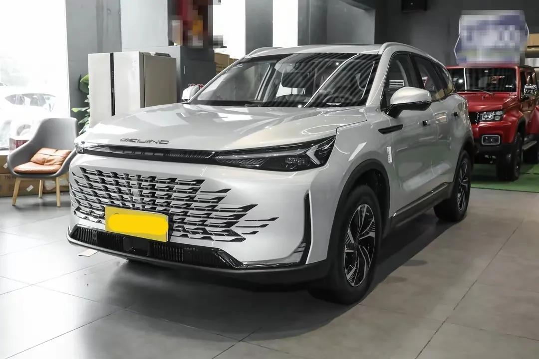 2025款北京X7上市了，官方指导价11.99万元，和2023款入门版定价一样。