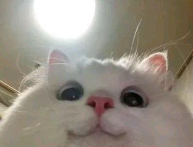 #星期二没人约很正常的啦#其实约不约也不是那么重要，来点实惠的，索性脚踏实地发个