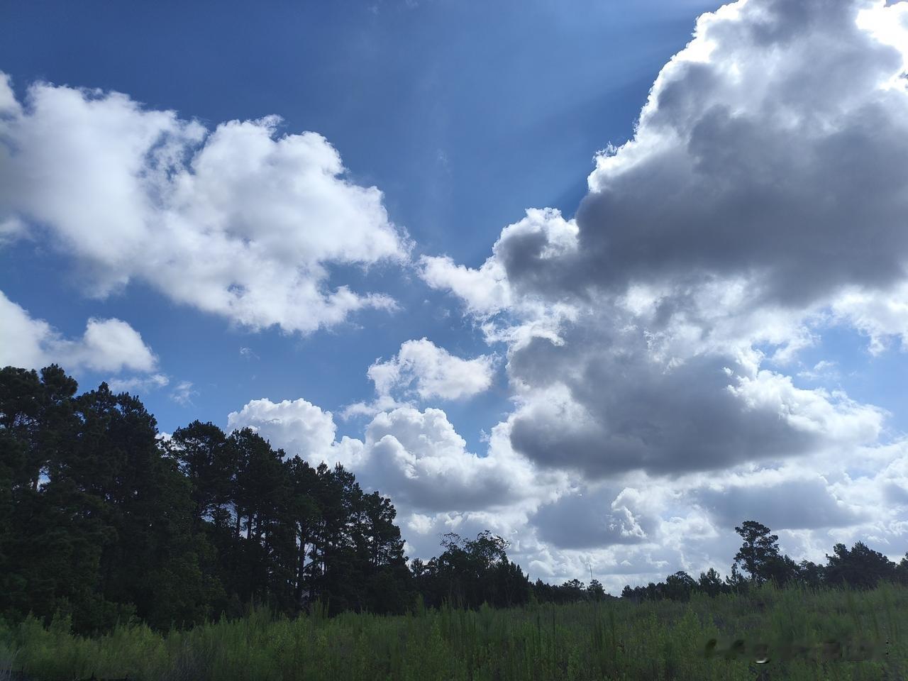 夏日美景随拍