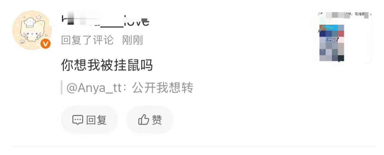 网速慢的根本跟不上