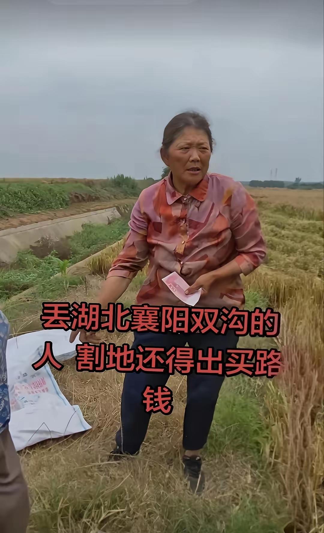 今年的新成语又出炉了，望众君知晓，别到时候别人谈论起来，你一脸茫然，显得自己很没