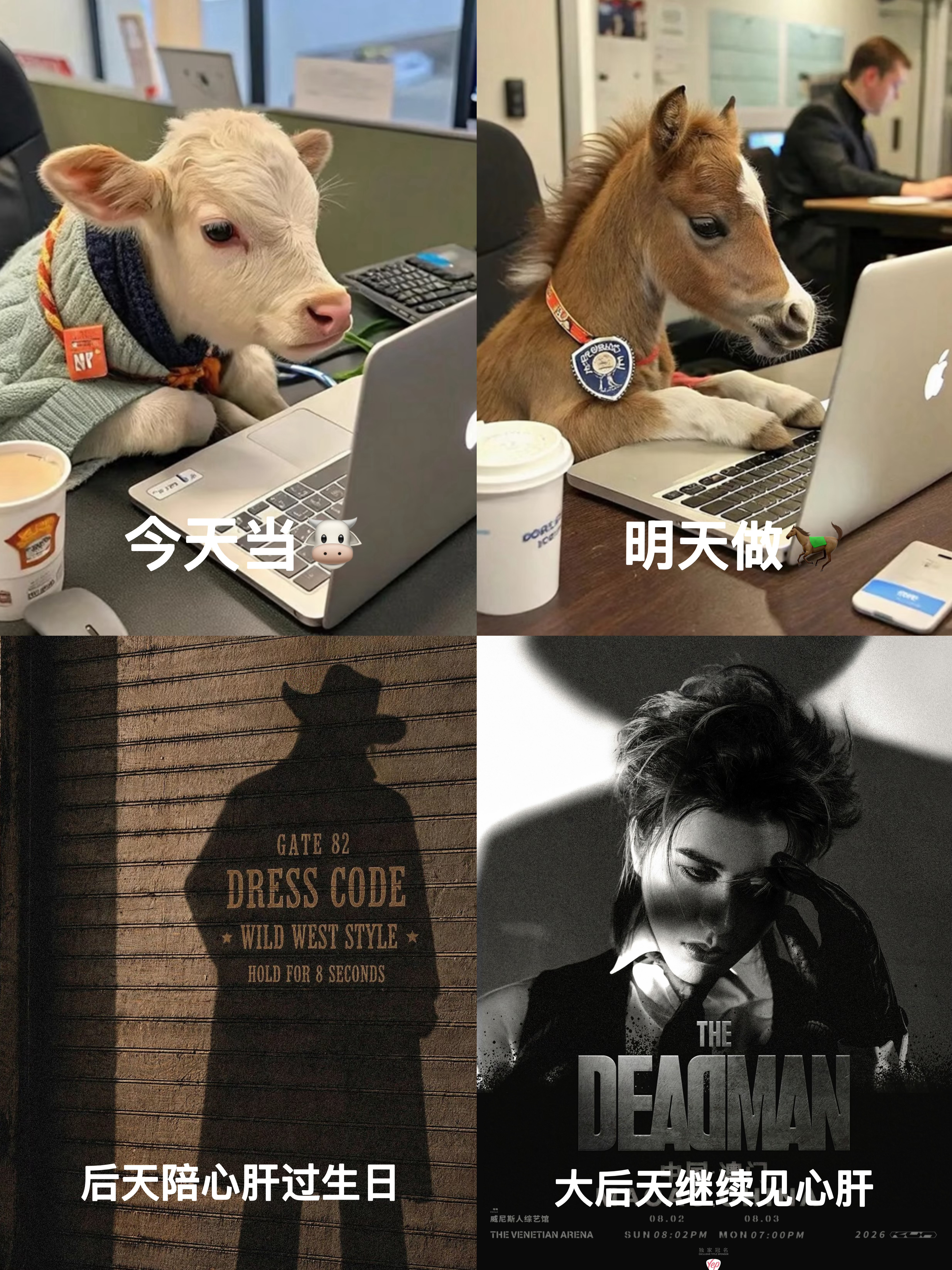 最后两天！ 
