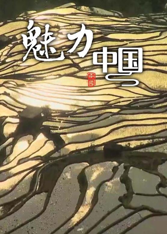 全球乱局下中国凭啥 “赢麻了”？38 万亿美债、万亿顺差… 这些硬核数据太震撼