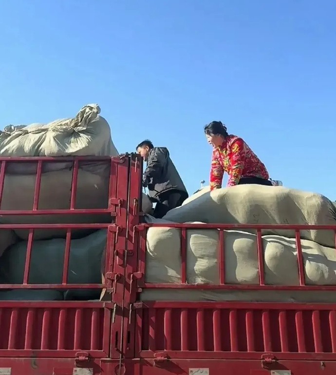 爱与温暖在高原绽放：草帽姐的援藏义举 在世界屋脊的西藏，广袤的土地上承载着无数的