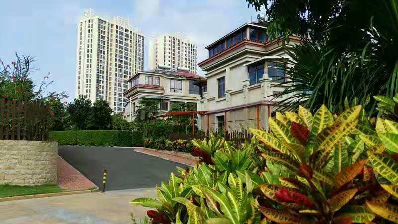 现在拍照多方便，都有手机！到那玩或路过那，看到美景随手一拍，记录一下美好，心情也