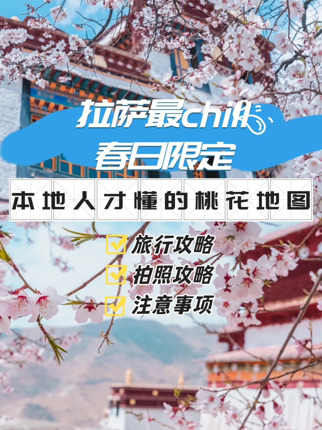 拉萨🔝chill春日限定 | 市区桃花地图大公开