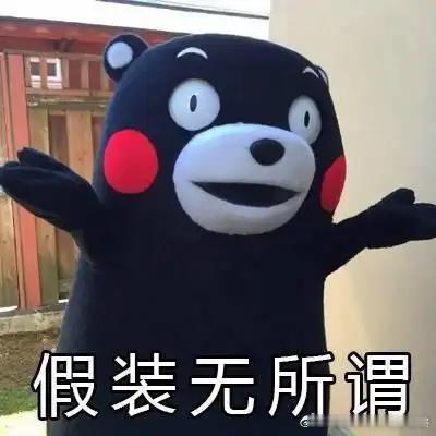 留学生揭穿9层楼积雪骗局戳穿它干嘛，就当做了个童话梦好了。有多少中国人会为了看雪