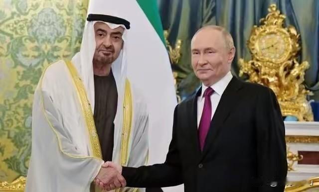 1月29日普京同阿联酋总统穆罕默德会谈，肯定阿方在乌克兰危机调解中的贡献，指出建