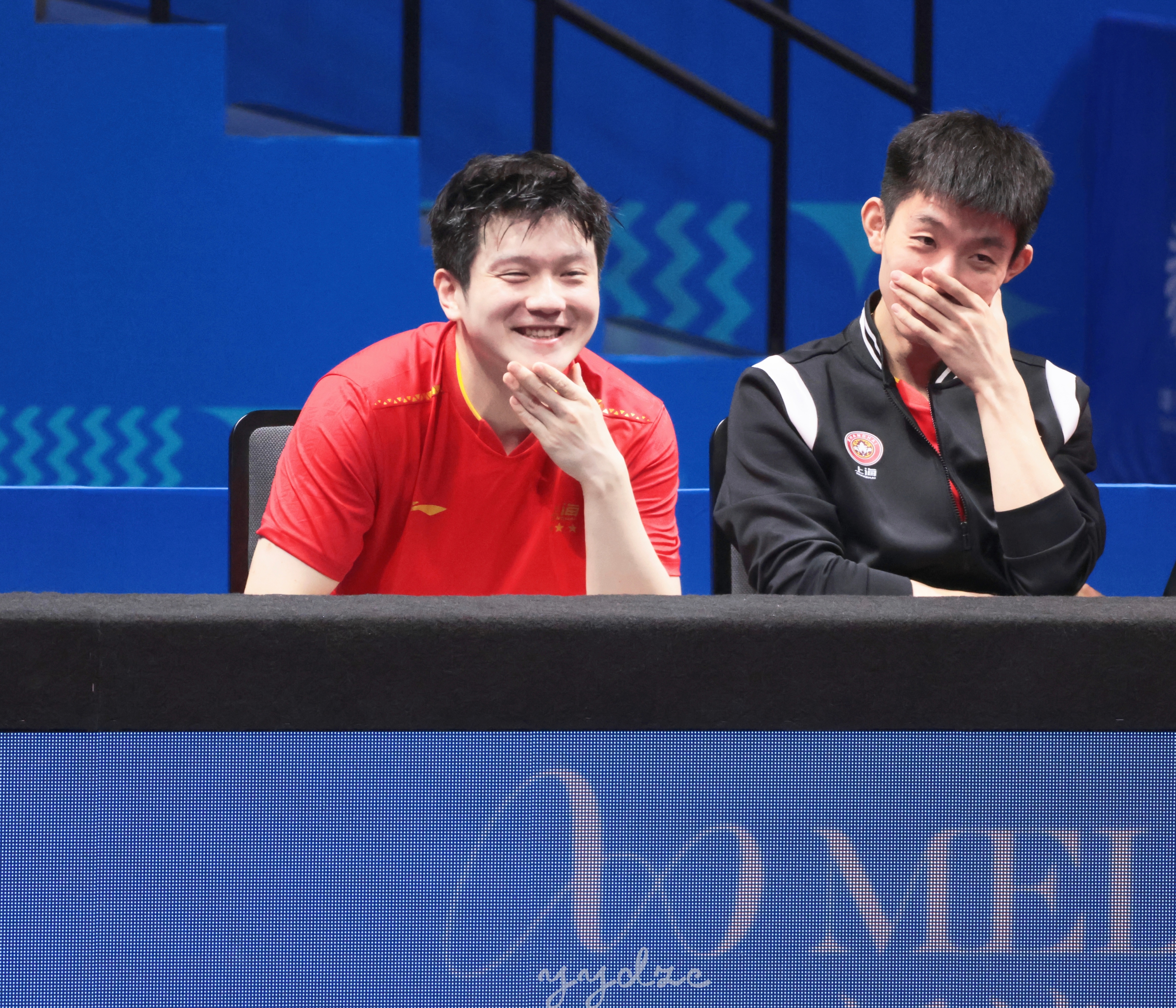 你有这样的萌物进入视野