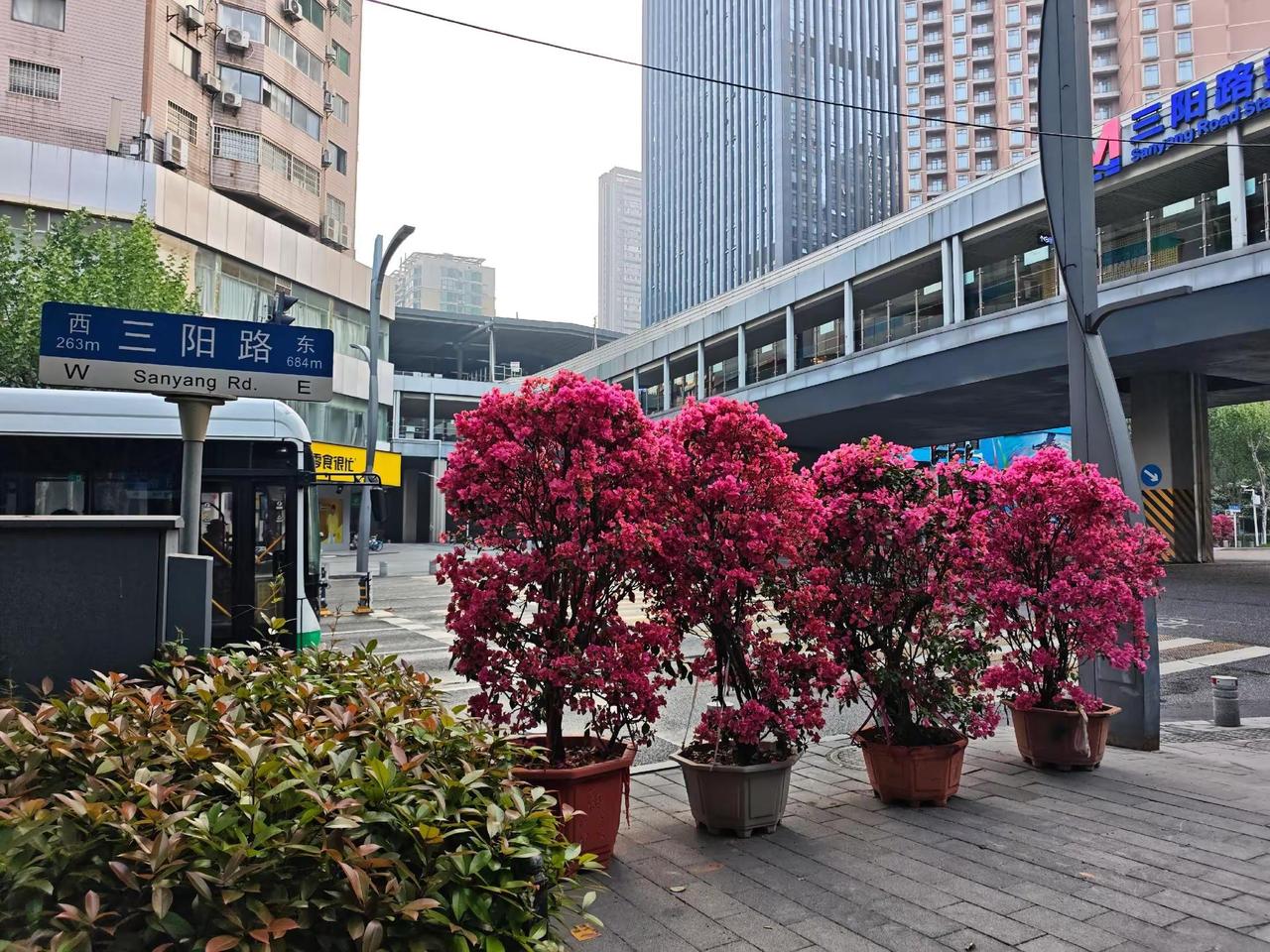 武汉街头移动鲜花亮相。寻美武汉 4月18日早上，参加