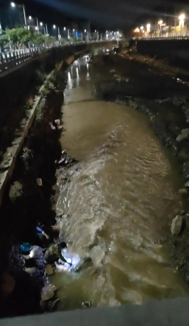 河道凌晨淘金热：低温难挡诱惑，非法藏风险
 
11月2日，甘肃陇南康县燕子河河道