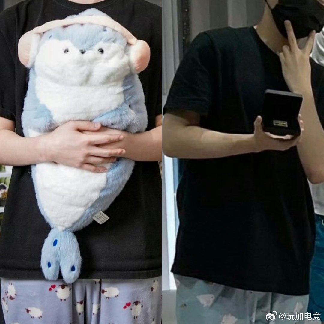 平时穿衣风格不同但在睡裤上意外有默契的下路双人组呢🐶🐨 keria鼓励13岁