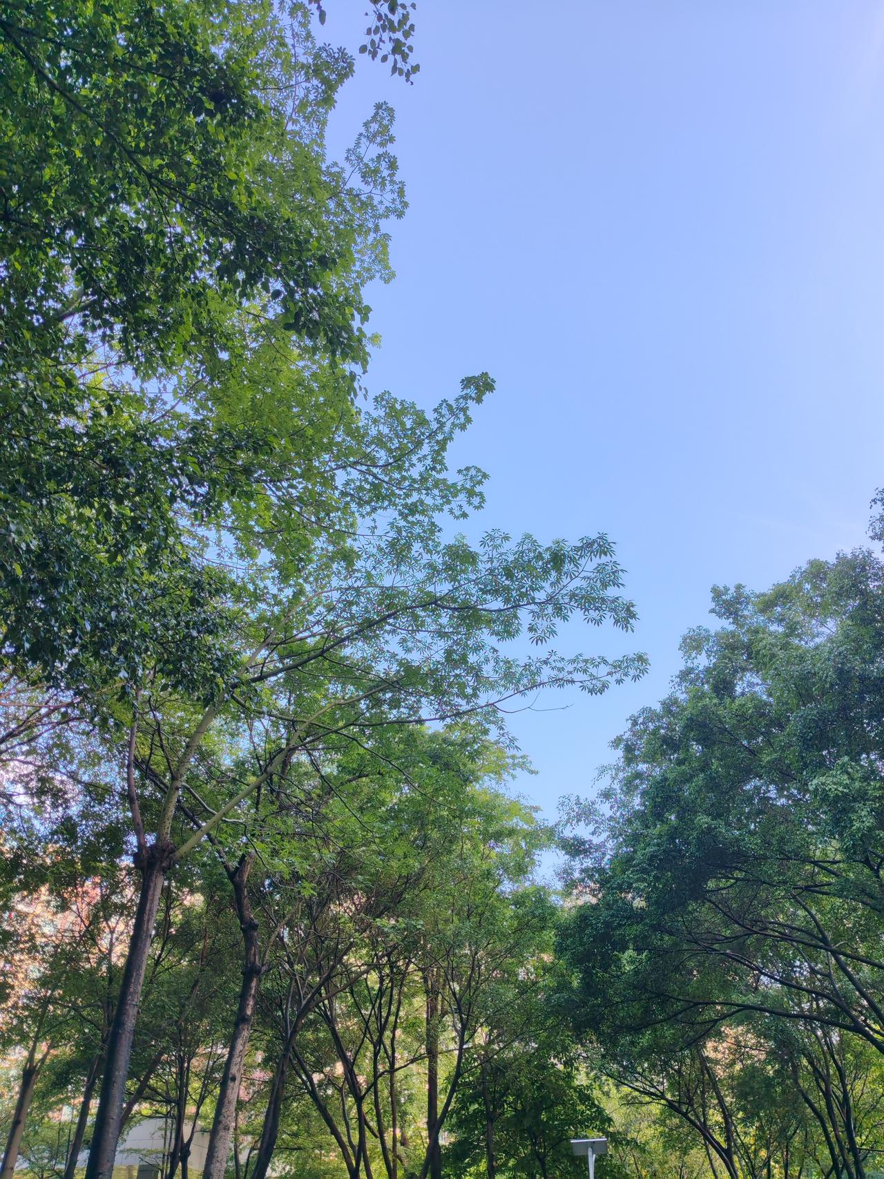 A股半导体板块高开，这事儿值得说道说道。今天四大股指集体高开，半导体产业链成了拉