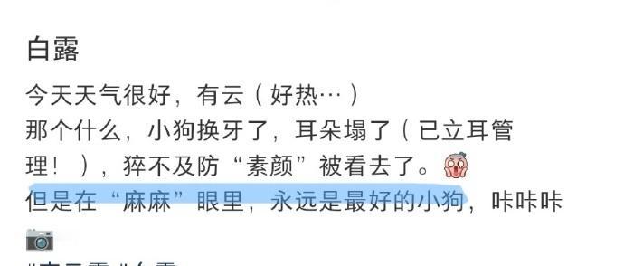 姐姐，你在麻麻眼里也永远是最好的老公[抱一抱][抱一抱][飞吻][飞吻]@李云霄