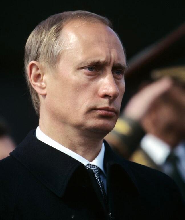 咪的头发软软的茸茸的 