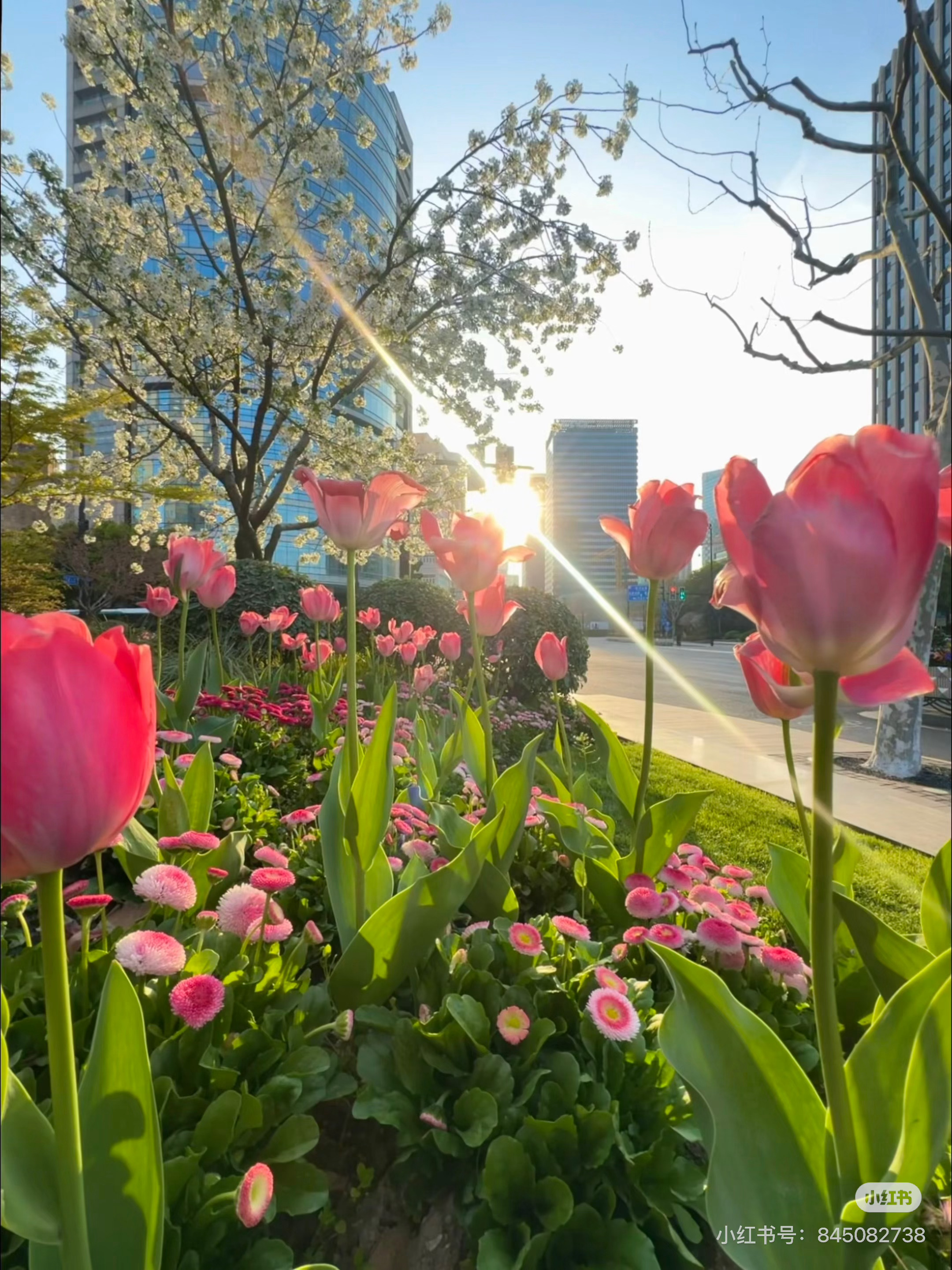 读书可以让人生变得更辽阔我的私人宝藏书单书评 让心上的花，开在春天的风里“请允许