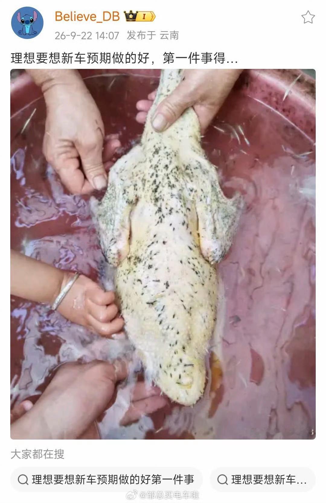“拔🐔毛？”这是啥意思，评论区有没有d大的解释一下 ​​​