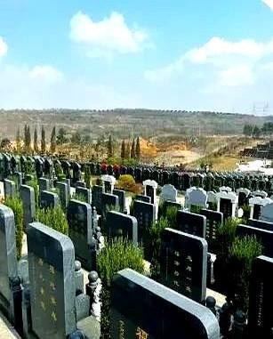 人死了是有墓地好，还是没有墓地好，这还真不是谁说了算，而是钱说了算。
你发现没？