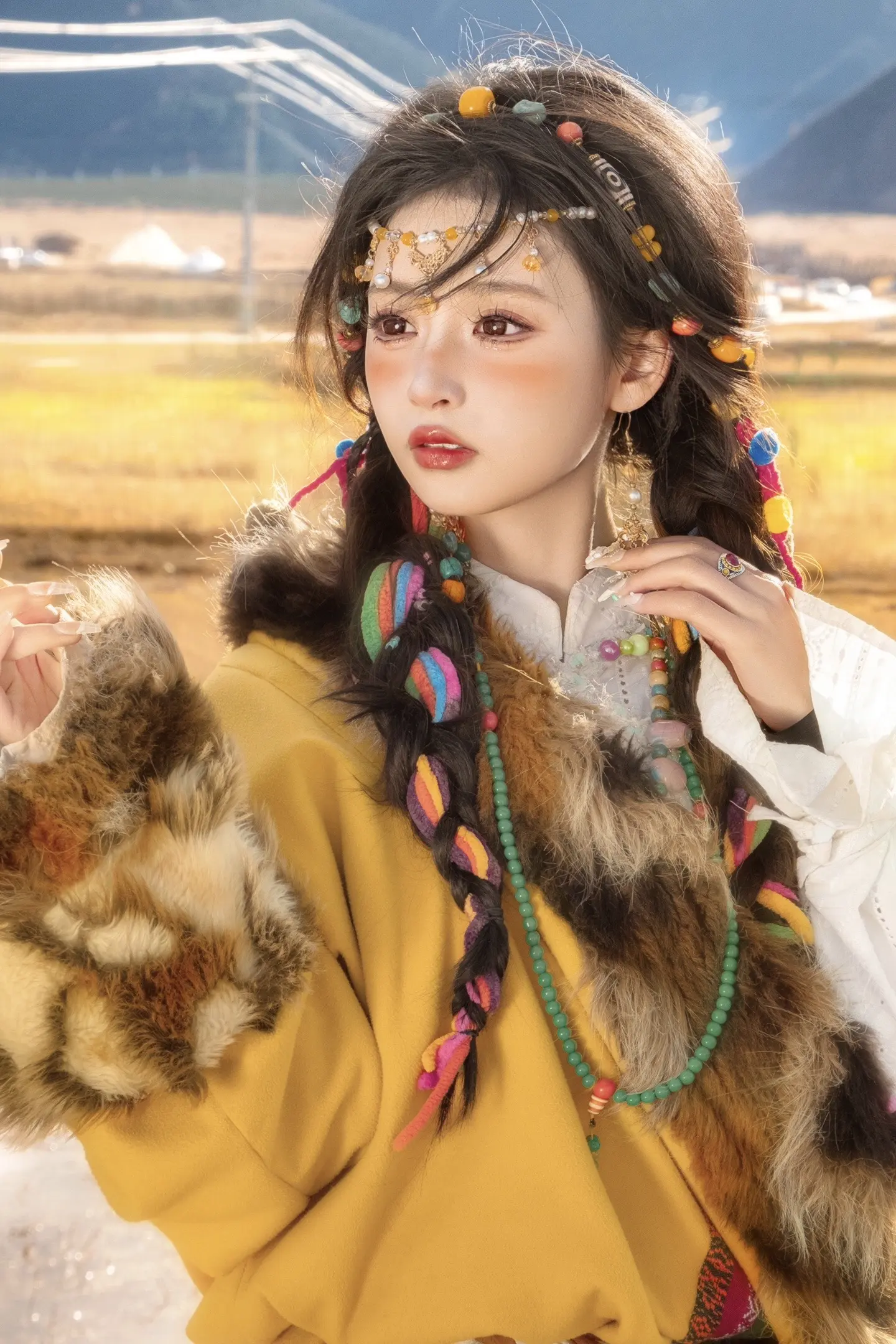 我出不去神山了 你带一支格桑花走吧。