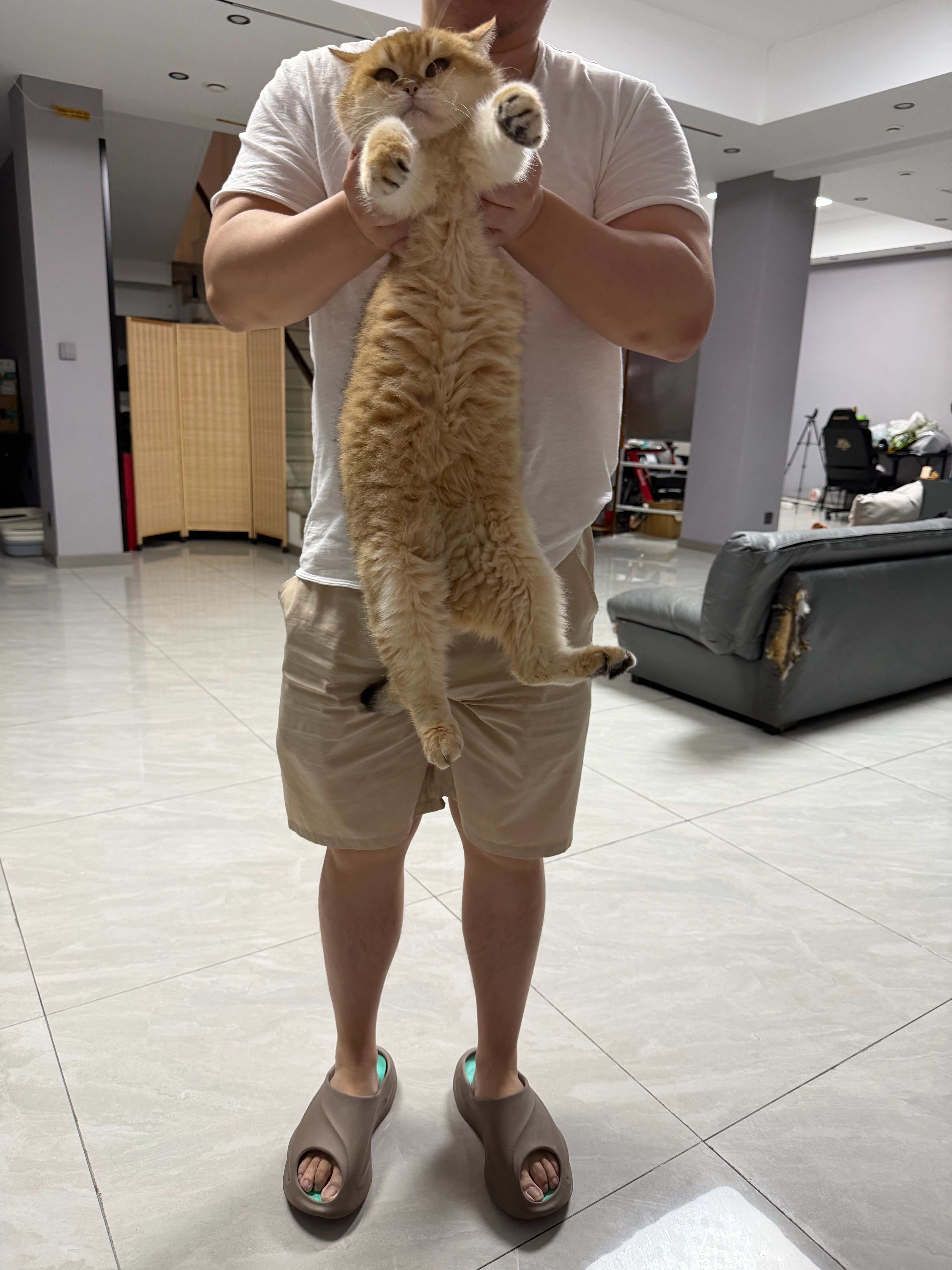 猫宁！我承认十一放假我有点偷懒了，现在我上班了，我可以给你讲讲我的原生家庭和初恋