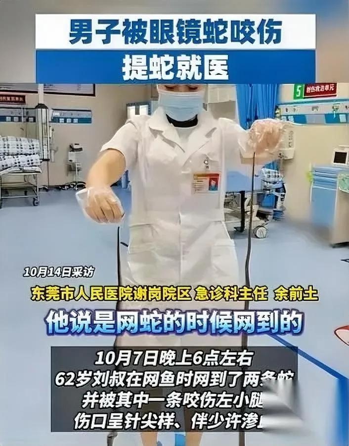东莞大叔网鱼，捞到俩“活物”——

是两条蛇！62岁的刘叔吓得赶紧挥棍子打，结果