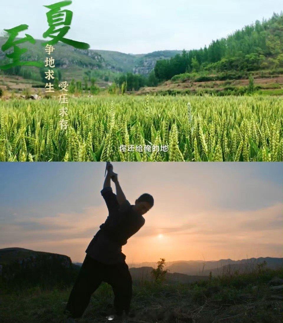 欧豪你这么演我真没招了 欧豪这角色反差感直接拉爆！前阵子还是凌厉的硬汉，这回来个