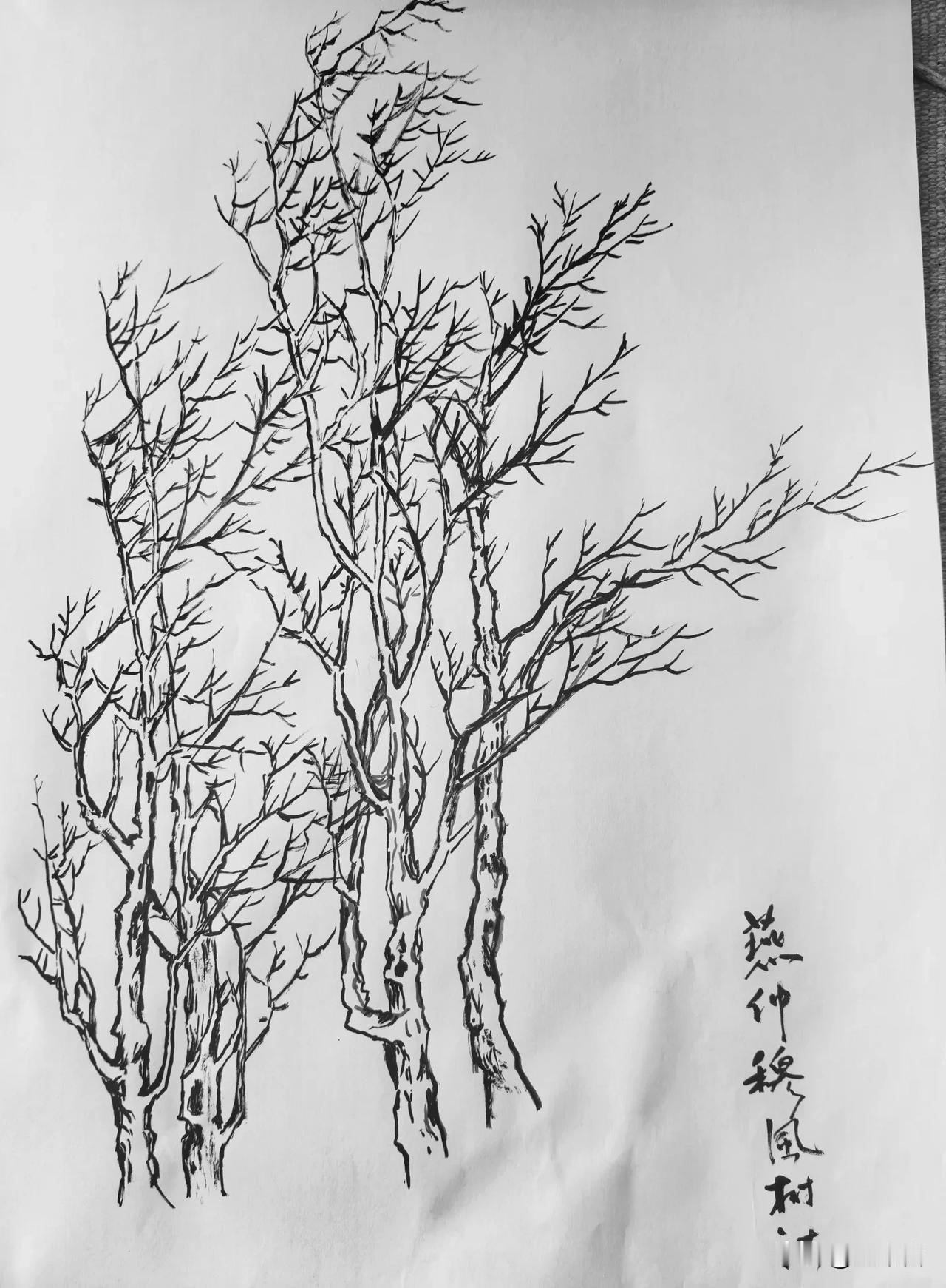 你看这片枯枝，像不像被时光啃光的骨头？好像退休我，但不是枯萎，是在练习的等待。因