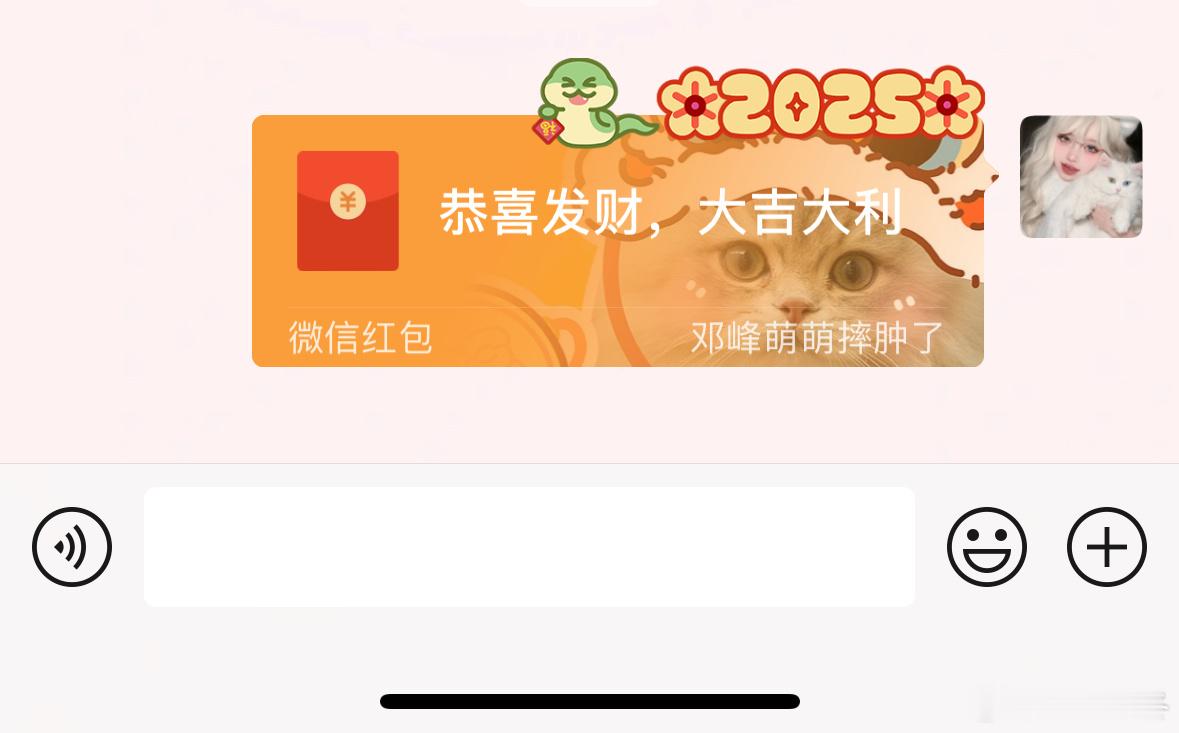 今天回老家新年 红包 已到手～顺便给大家看看我的微信红包封面！除夕夜提前祝大家新