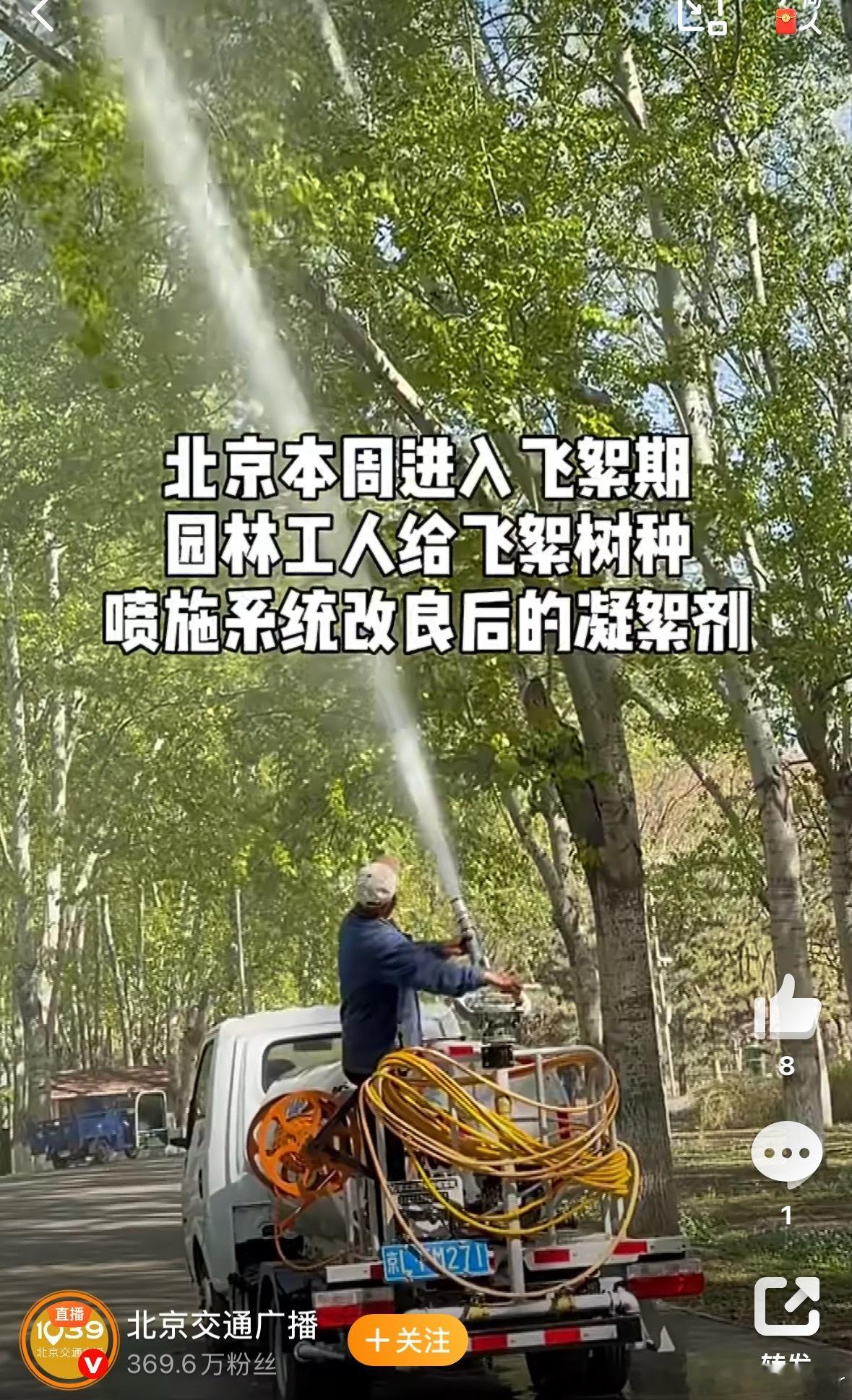 北京治理飞絮上了新科技过敏星人的救星