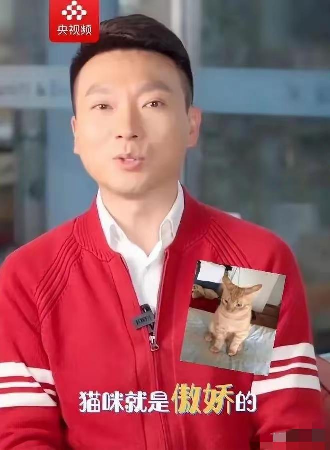 天菩萨，拐求喽！今天才知道！康辉，竟然是丁克。

这么好的基因，没有一儿半女，自