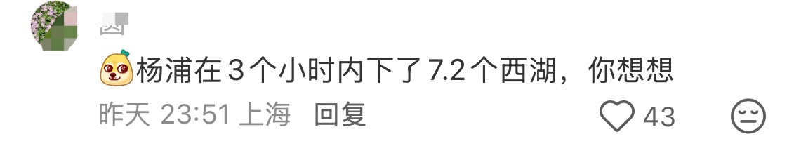 昨天上海变海上的时候还骂市政，今天看到这个，3小时内7.2个西湖的水量哪里也遭不