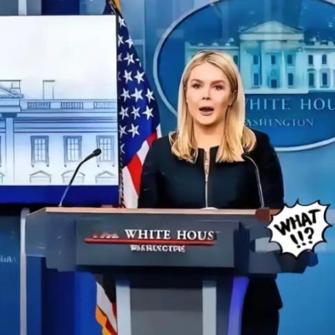 这回美国人算是彻底傻眼了！本来以为只要稍微松个口子，中国就会感恩戴德地照单全收，