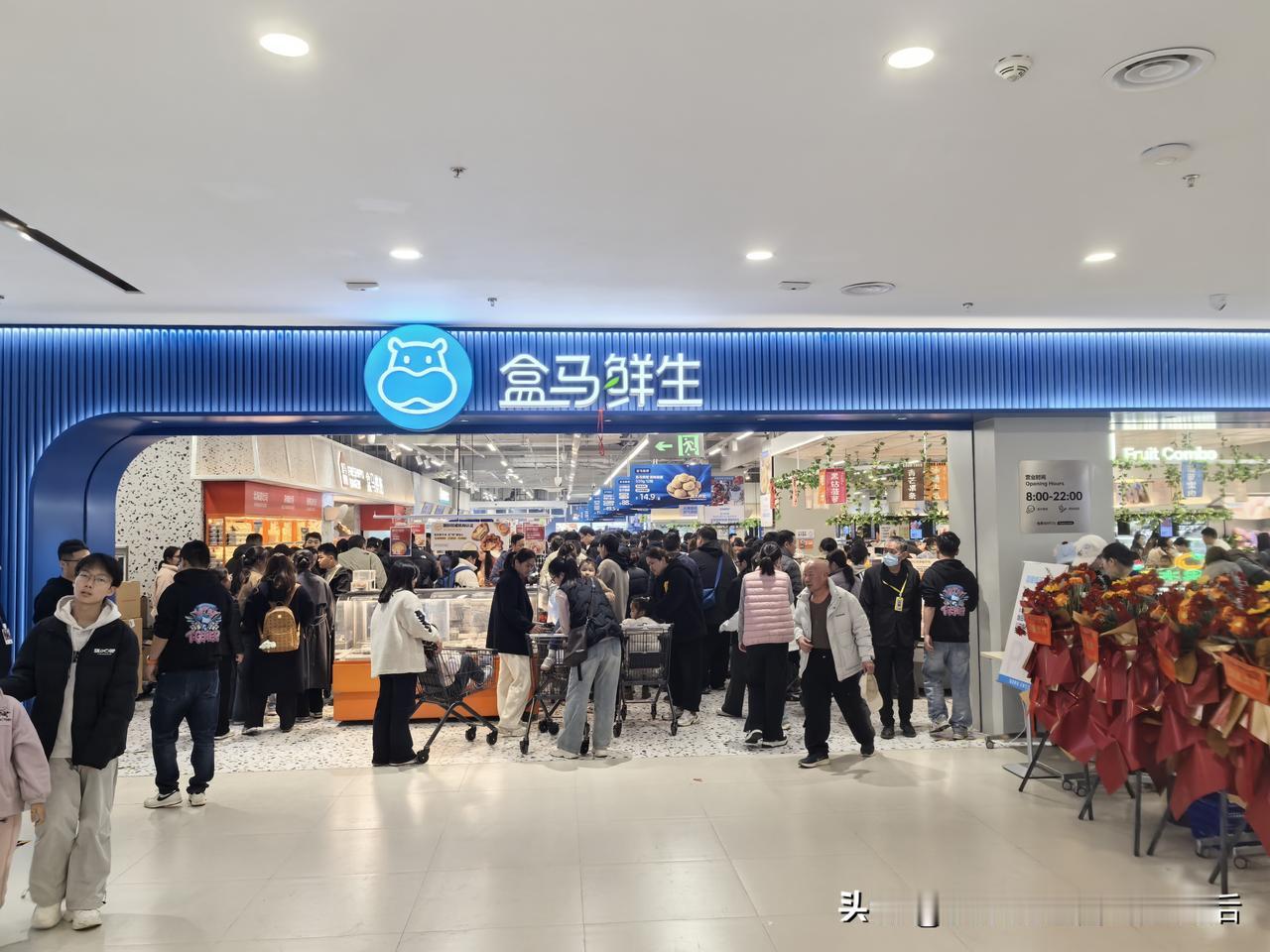 一盒在手，生活无忧。

品质生活，盒马相伴。