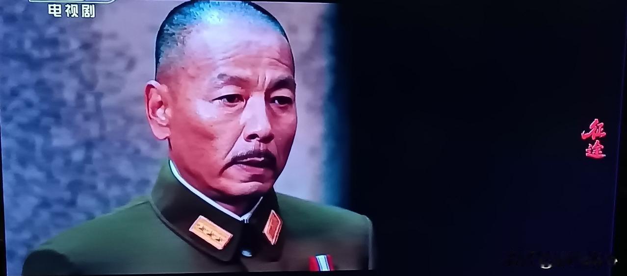 《征途》里蒋介石的扮演者，王挺剃了光头，不等于能演好蒋介石，这个特型演员选的差强