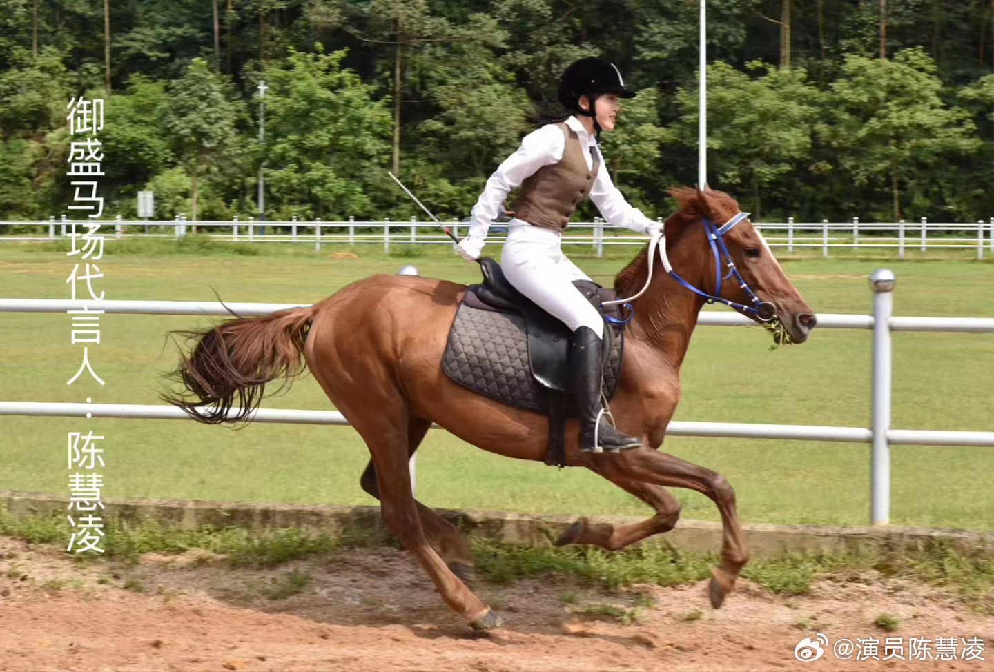 御盛马场代言人陈慧凌：祝大家元宵节快乐。元宵开启开工新年好运模式马年行大运，马上